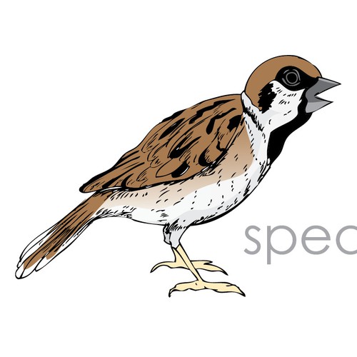 New logo wanted for Speaking Sparrow