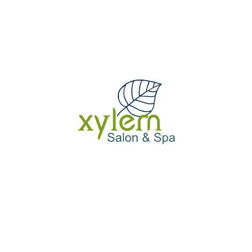 Create the next logo for Salon Xylem & Spa