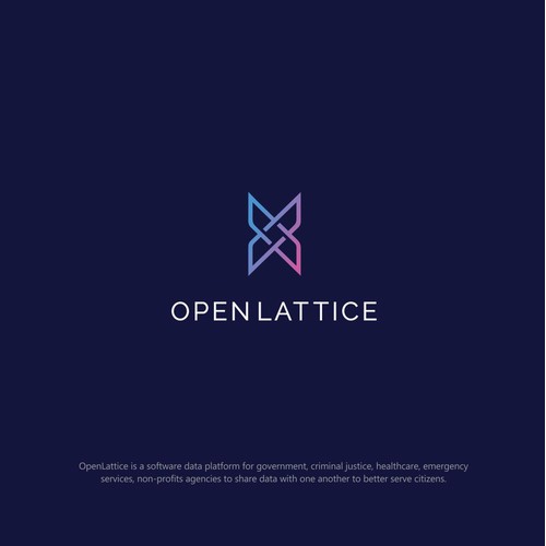 clean logo for a company modernizing government software