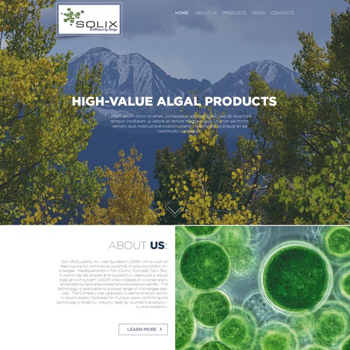 Web Design for Algal Products Company