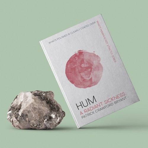 Book cover for a surreal, literary novel