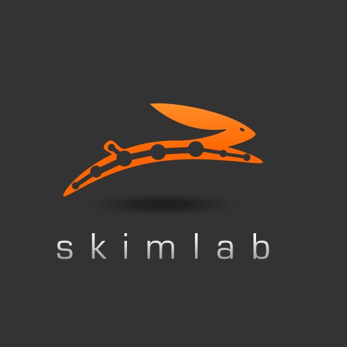 Help us make a great logo for Skimlab !!