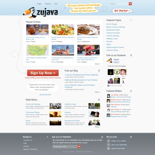 Website design for Zujava