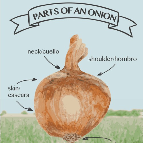 Onion parts poster