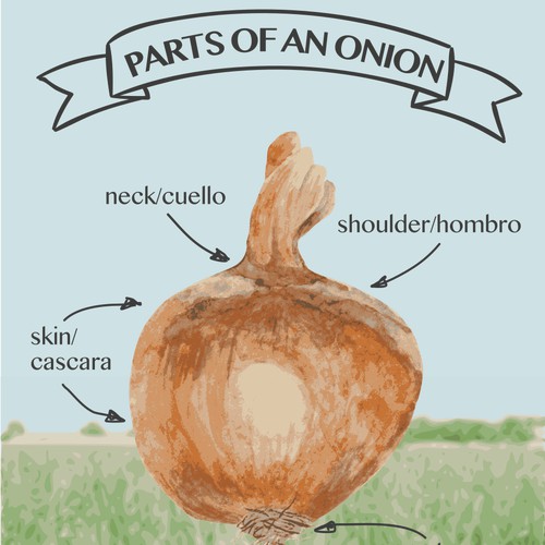 Onion parts poster