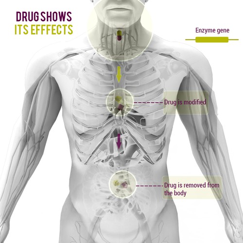 drug breakdown