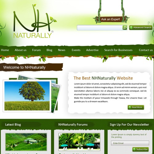 New website design wanted for nhnaturally.com