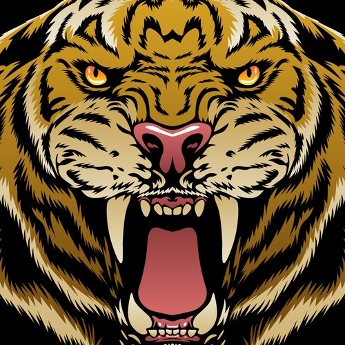 Tiger Illustration