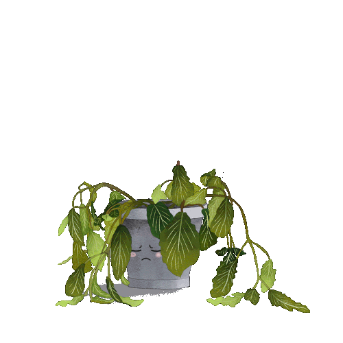 Recovering plant gif