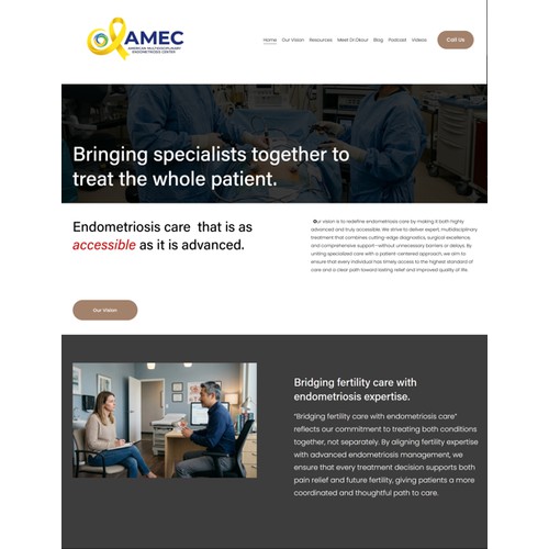Optimisation of amecendo.com