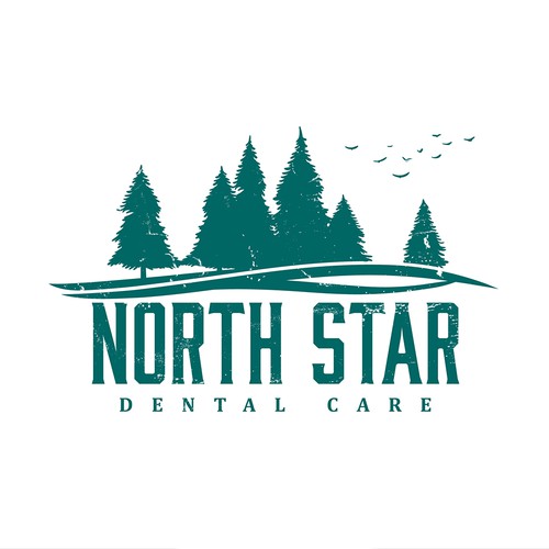 North Star Dental Care