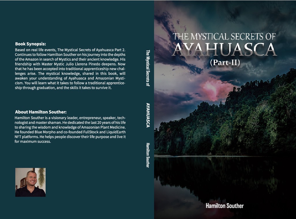 Paper back and Ebook Cover