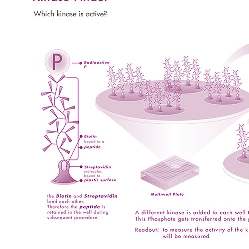 Kinase Finder Illustration Sample