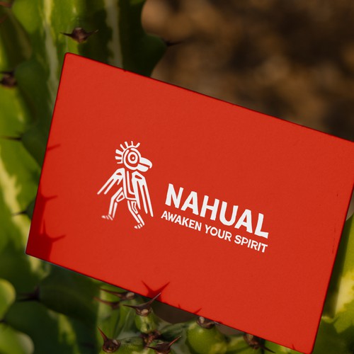 Logo concept for a Mexican spirit