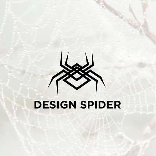 Design Spider