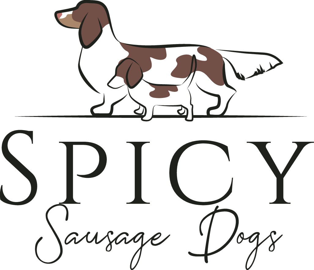 Spicy Sausage Dogs - Logo for Dachshund Breeder