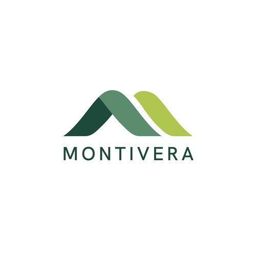 Impactful and sophisticated logo for a new insurance company