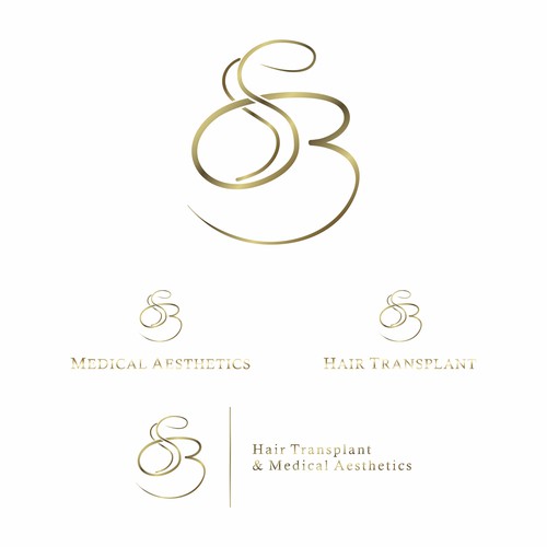 Logo Design ft S3