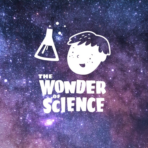 logo for Wonder Science