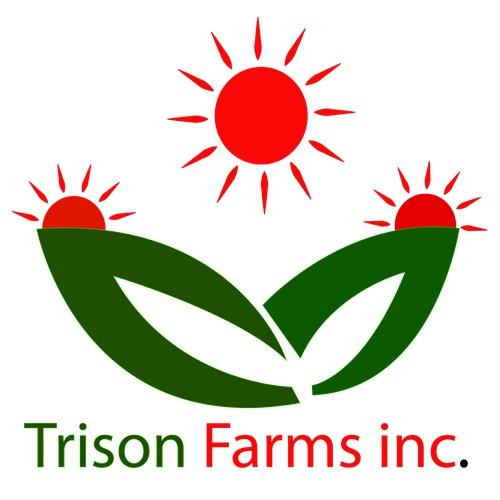 agriculture with three suns 