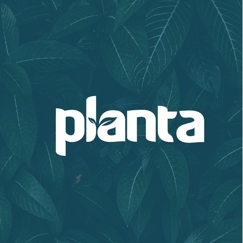 Planta