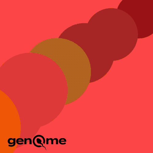 Website Design Collection