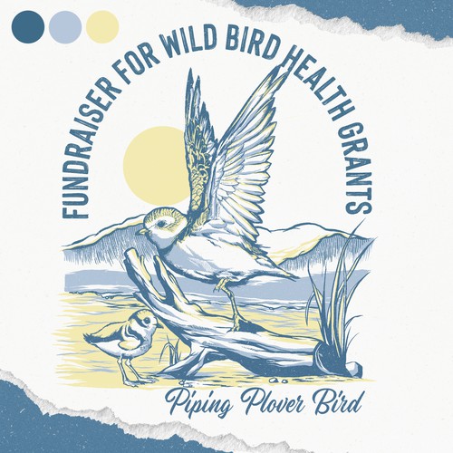 Piping Plover Bird Tshirt Design - Fundraiser for Wild Bird Health Grants