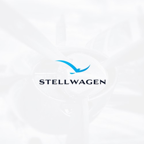 Stellwagen Finance Company