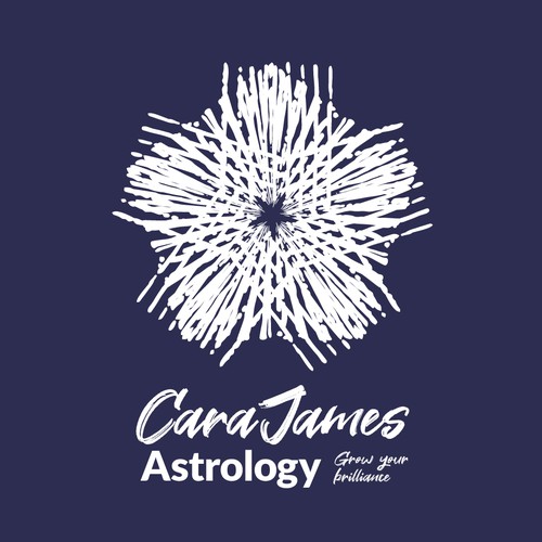 logo for the astrologer