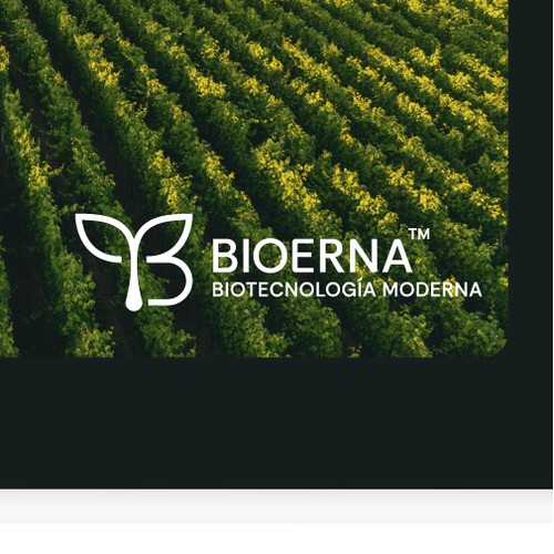 Bioerna logo concept