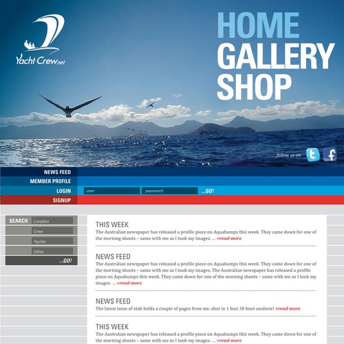 Website page