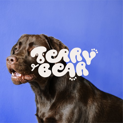 TERRY BEAR