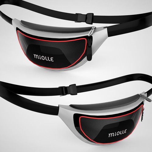 Waist Bag ( Passport, Money ) belt 