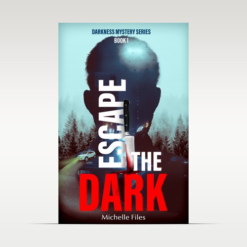 Mystery Thriller Book Cover