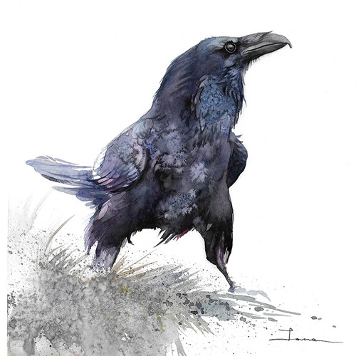Raven 