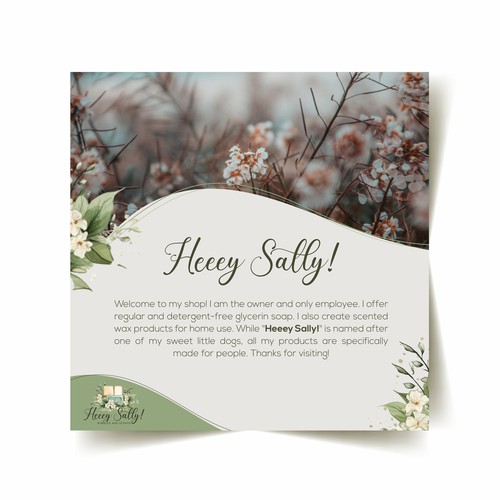 Heeey Sally - Banner