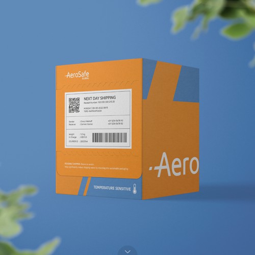 AeroSafe Reusable Shipper