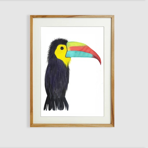 Bird  İllustration