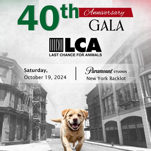 Graphics for NonProfit 40th Anniversary Gala