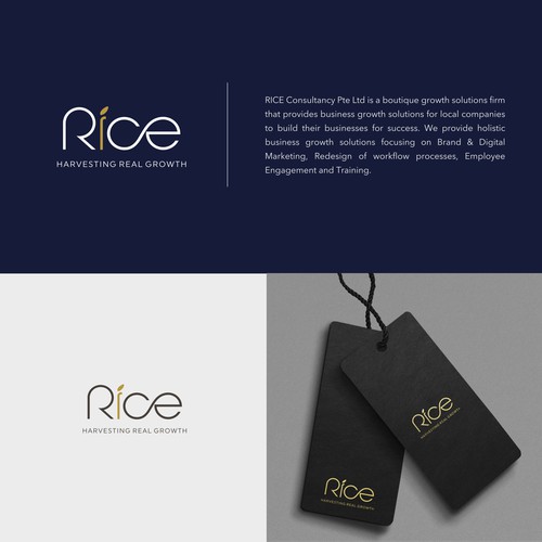  Design an Inspiring Logo for RICE Consultancy