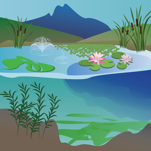 illustration for aquatic control company