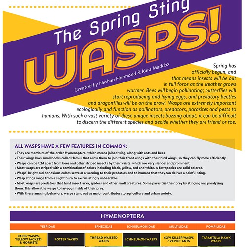 Wasps!