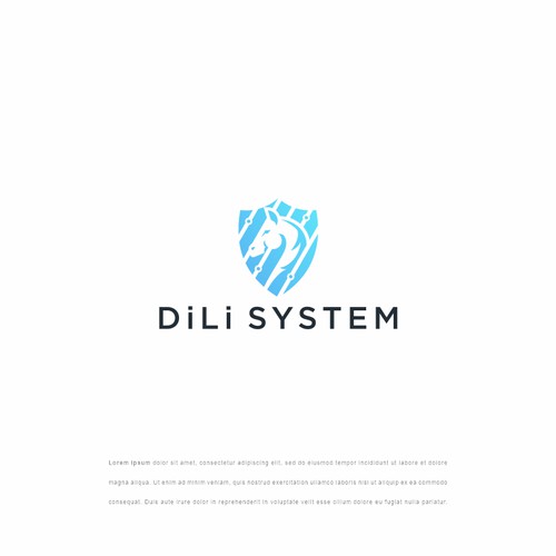 DiLi System