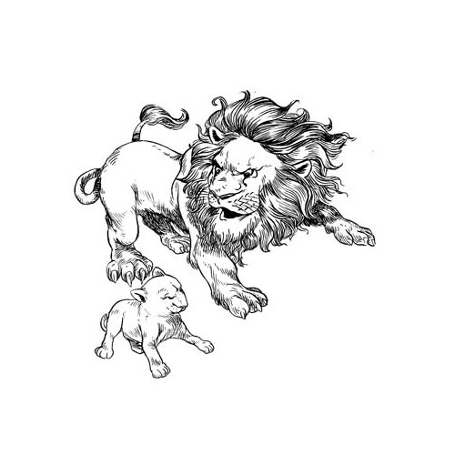 Father lion and cub Illustration