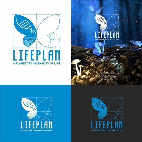 Lifeplan