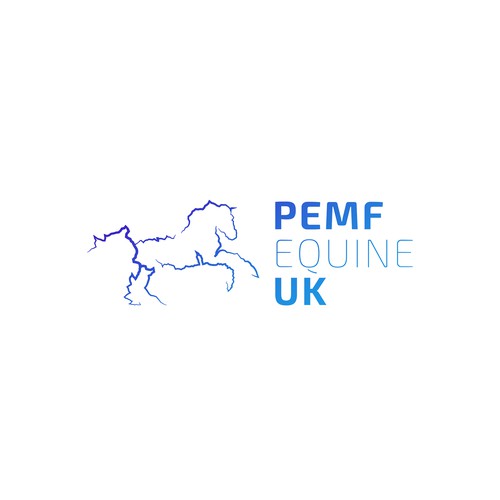 Logo for an Equine Physiotherapy Practice