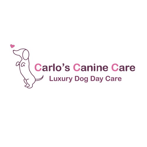 Dog care 