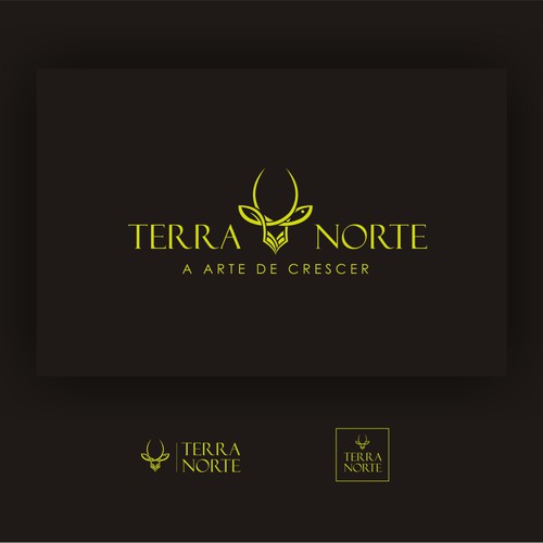 Logo concept for terranorte