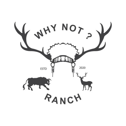 WHY NOT? RANCH