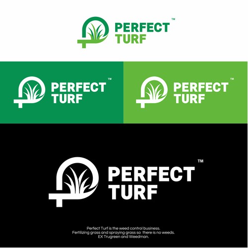 Logo and Brand Identity for PERFECT TURF.